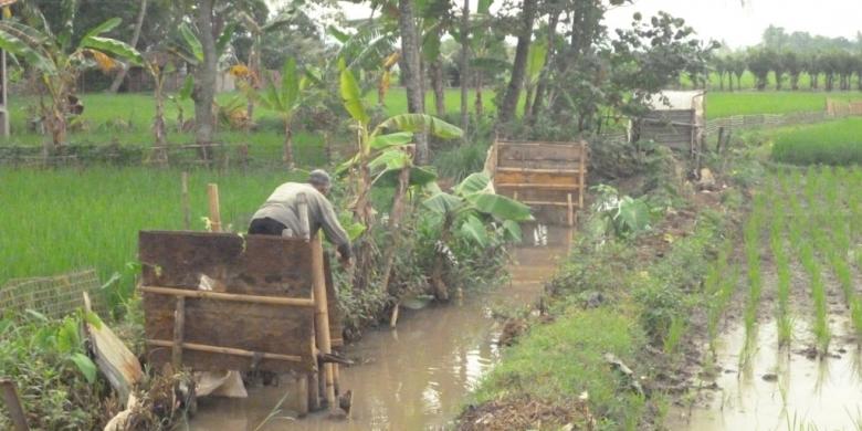Ikustrasi jamban yang masih belum sehat
