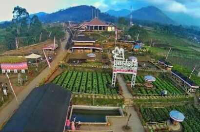 Cafe Sawah Pujon Kidul (@a2ephotograph)