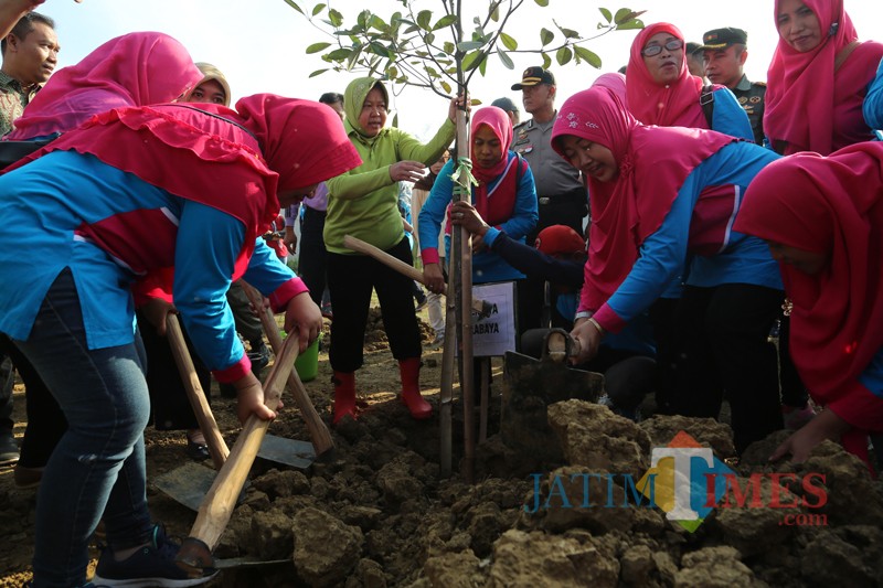 Wali Kota Risma ketika menanam pohon di Warugunung, perbatasan Surabaya-Gresik