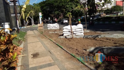 Kawasan pedestrian Jalan Veteran yang saat ini ditanami tanaman hias perdu. (Anggara Sudiongko/MalangTIMES)