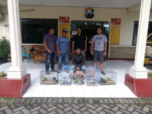 M Nur Arifin tersangka penyelundupan burung ilegal beserta barang bukti saat diamankan polisi, Kecamatan Dau (Foto : Istimewa)