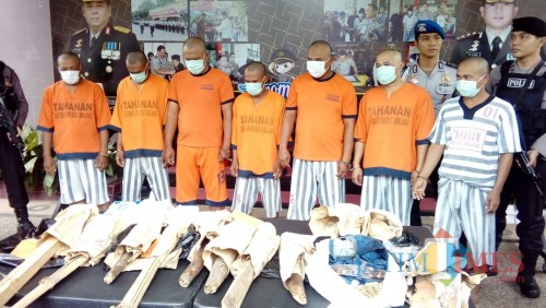 Sebanyak 7 tersangka kasus pembunuhan Juari saat diamankan polisi dalam sesi rilis Polres Malang, (Foto : Humas Polres Malang for MalangTIMES)