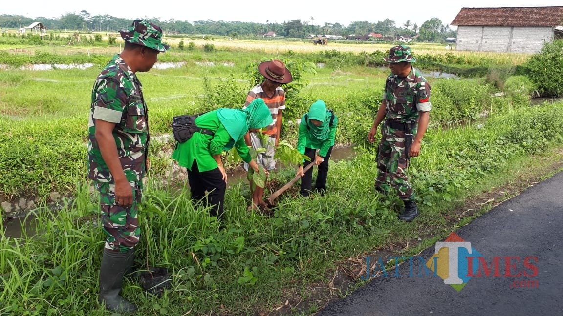 Penanaman pohon yang digelar Kodim 0808/Blitar di Selopuro.(Foto : Team BlitarTIMES)