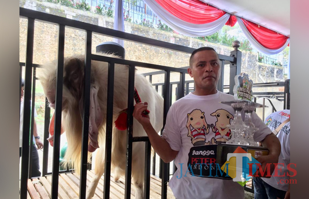 Ade Ridono bersama kambing miliknya bernama Lesno di halaman parkir Jatim Park 2. (Foto: Irsya Richa/MalangTIMES)
