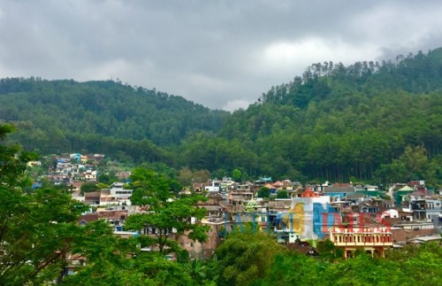 Di Dusun Songgoriti, Kelurahan Songgokerto sudah sejak lama terkenal dengan penginapan villanya. Totalnya ada 350-an villa. (Foto: Irsya Richa/BatuTIMES).
