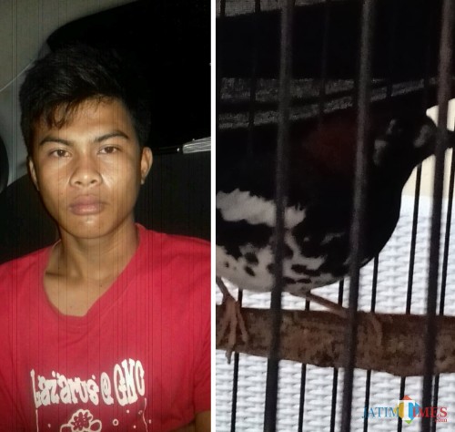 Firman Andrianto tersangka beserta barang bukti pencurian saat diamankan polisi, Kecamatan Bululawang (Polsek Bululawang for MalangTIMES)