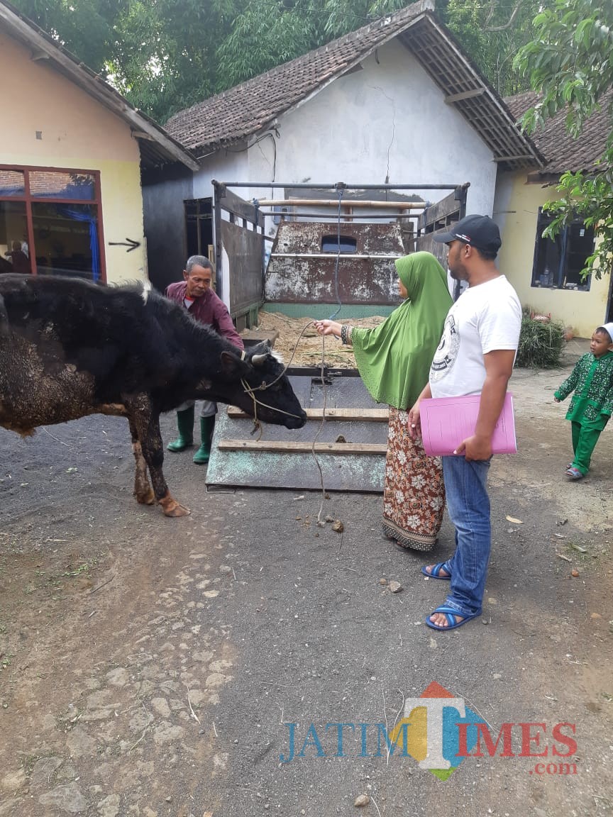 Barang bukti sapi yang dicuri oleh pelaku pencurian, Kabupaten Malang (Foto : Humas Polres Malang for MalangTIMES)