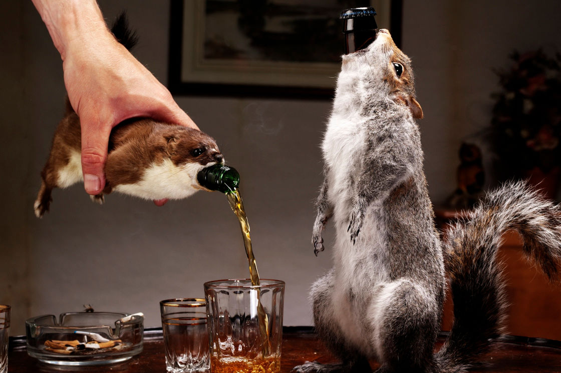 Bir BrewDog (Foto: brewdog.com)