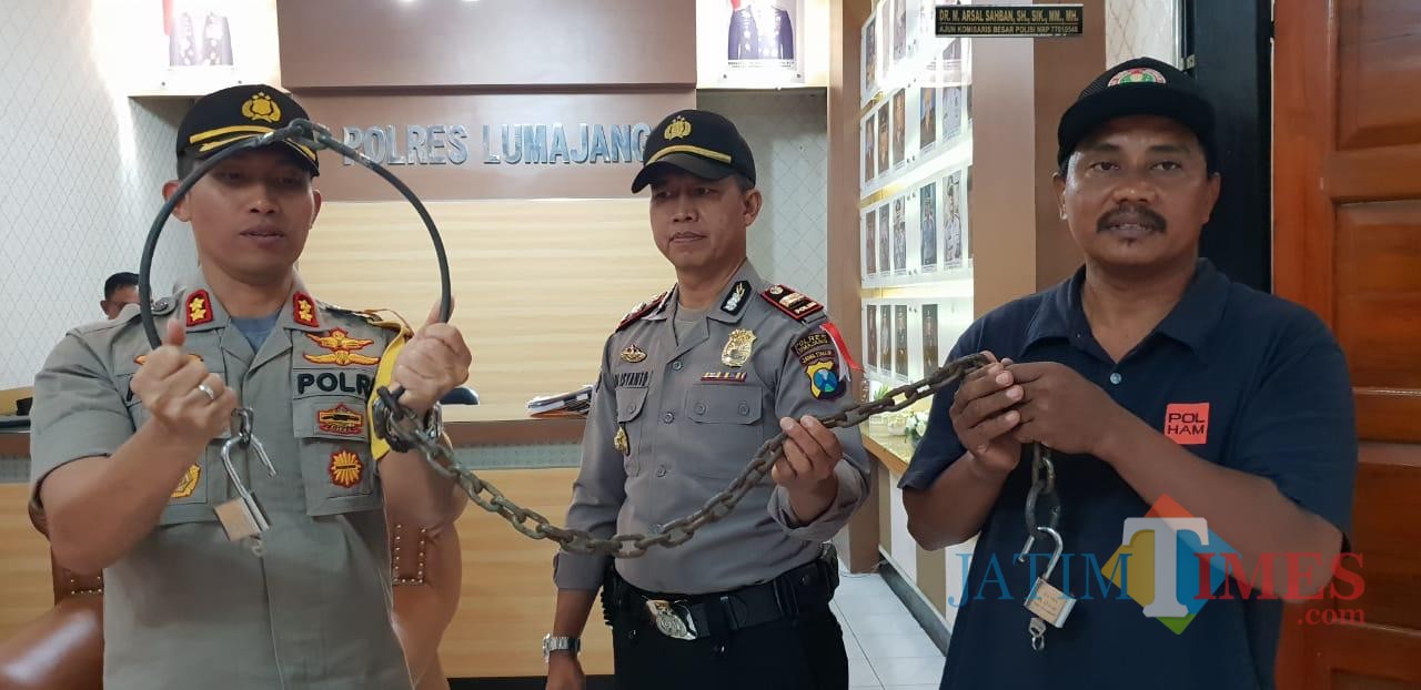 Inilah rantai sapi yang akan diperkenalkan kepada masyarakat (Foto : Moch. R. Abdul Fatah / Jatim TIMES)