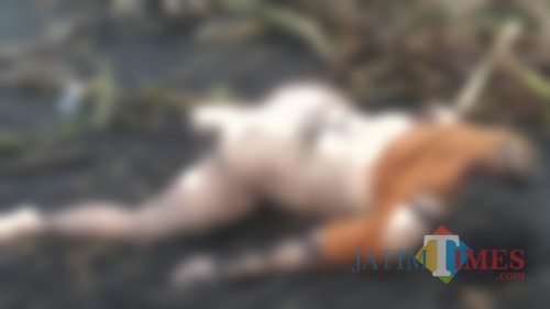 Korban tewas di Pantai Paseban, Jember, yang berasal dari Lumajang. (Foto: Media sosial/Istimewa)
