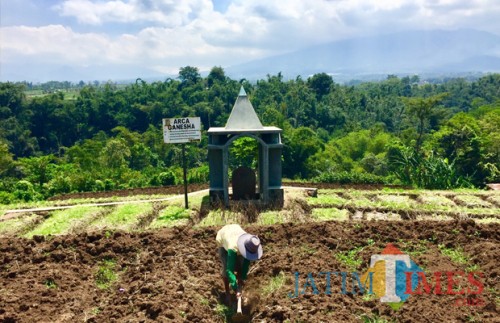 Arca Ganesha letaknya berada di tengah persawahan milik Rewang di Dusun Klerek, Desa Torongrejo, Kecamatan Junrejo. (Foto: Irsya Richa/BatuTIMES)