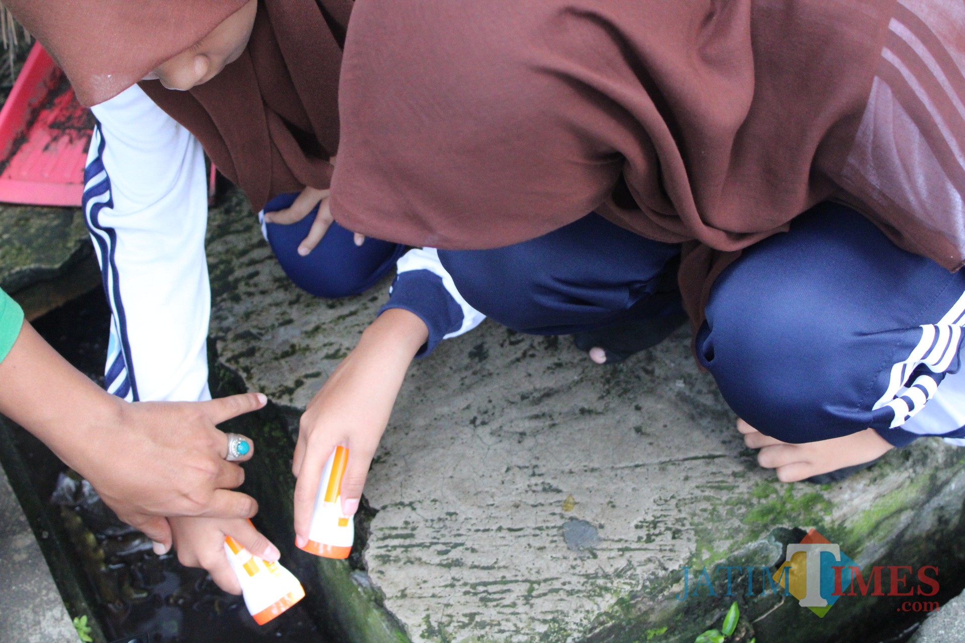 Sejumlah anggota Pokja Jubastik SMPN 2 Jombang saat memantau jentik nyamuk di selokan sekolah. (Foto : Adi Rosul / JombangTIMES)
