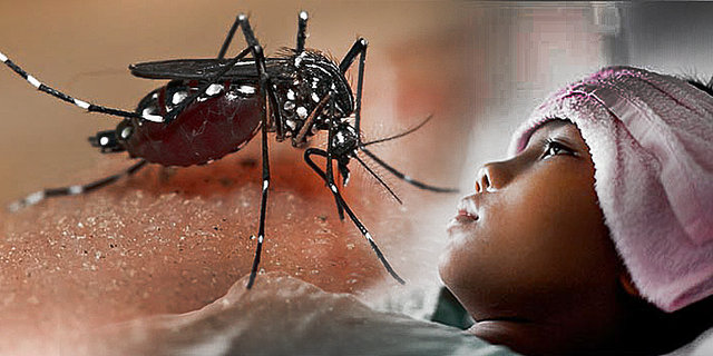 Ilustrasi.(Foto : Goggle Images)