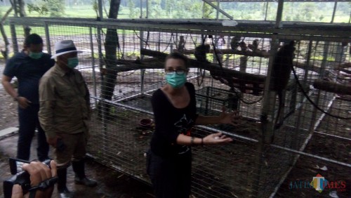 Luis dari Jakarta Animal Aids Network bersama H. Arum Sabil di lokasi kandang transit (foto : Moh. Ali Makrus / Jatim TIMES)