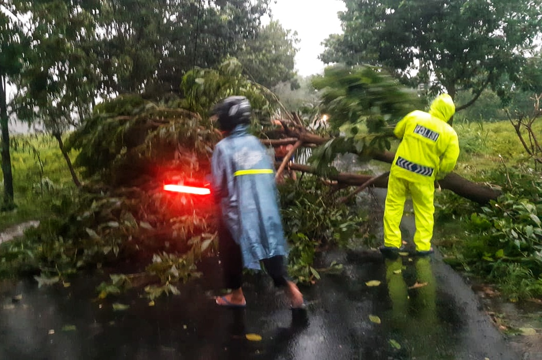 Petugas dibantu warga ketika menyingkirkan pohon tumbang di Kecamatan Pagu Kabupaten Kediri. (Foto: Ist)