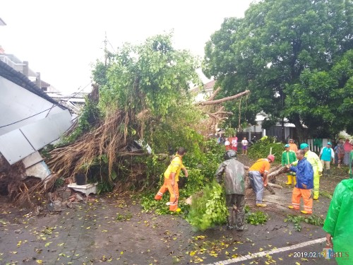 Kondisi warung yang tertimpa pohon dan korban saat mengevakuasi motornya. (Anggara Sudiongko/MalangTIMES)