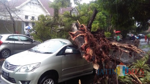Salah satu lokasi kejadian pohon tumbang yang menimpa kendaraan warga di Kota Malang. (Foto: Istimewa)