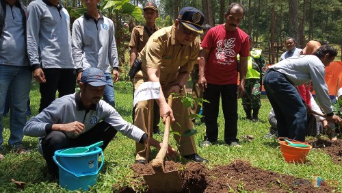 Plt Bupati Tulungagung, Maryoto Birowo menanam tanaman kopi di Jurang Senggani(foto : Joko Pramono/Tulungagungtimes)
