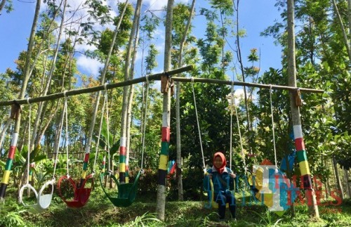 Salah satu Spot swafoto ayunan di Kebat Dusun Ngukir, Desa Torongrejo, Kecamatan Junrejo. (Foto: Irsya Richa/BatuTIMES)