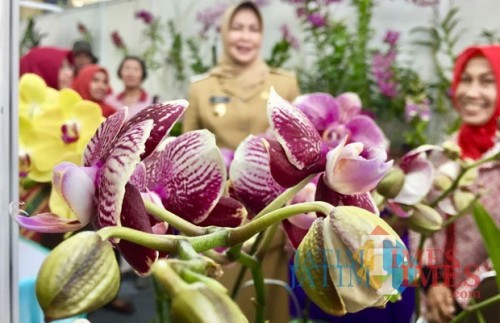 Wali Kota Batu saat meninjau dalah satu koleksi anggrek miliki warga Kelurahan Dadaprejo di Pameran Batu Shining Orchid di Balai Kota Among Tani beberapa saat lalu. (Foto: Irsya Richa/MalangTIMES)