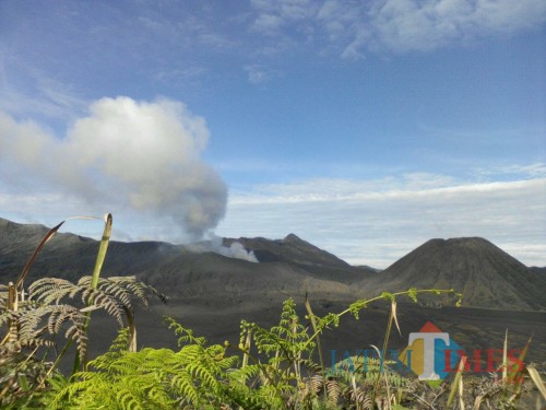 Suasana kawasan wisata Gunung Bromo dari pos pengamatan PVMBG, beberapa waktu lalu. (Foto: Nurlayla Ratri/MalangTIMES)