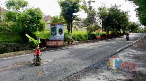 Salah satu jalan berlubang ditutup dengan menggunakan pohon pisang di depan SMA Selamat Pagi, (Foto: Ist)