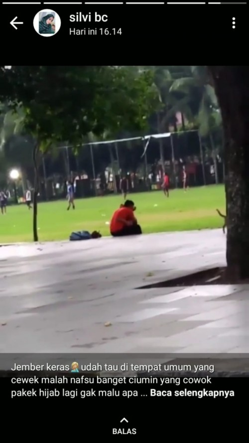 screanshoot video