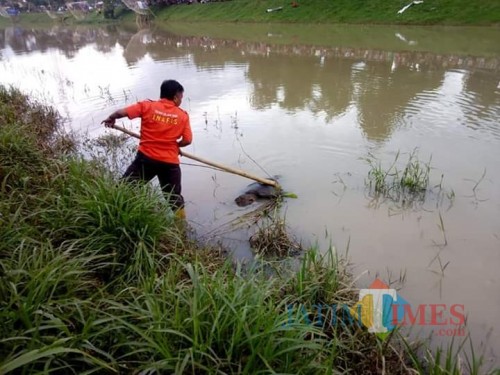 Petugas berusaha melakukan evakuasi pada mayat / Foto : Dokpol / Tulungagung TIMES