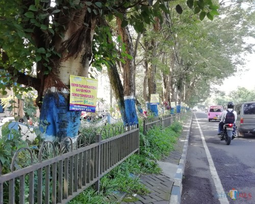 Reklame yang dipaku langsung ke pepohonan di jalur Jalan Panji yang merupakan area perkantoran Pemerintah Kabupaten Malang. (Nana)