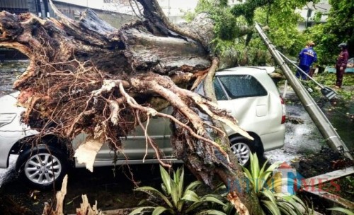 Pohon tumbang yang menimpa mobil (Doc MalangTIMES)