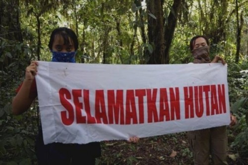 Kerusakan hutan lindung di Malang Selatan terus terjadi dikarenakan pembalakan liar serta alih fungsi lahan (profauna.net)