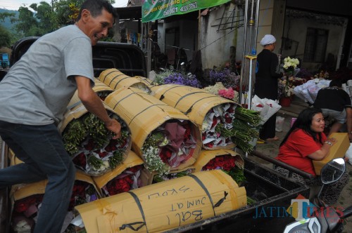 Bunga mawar milik Yuliati suplier dari dusun Brumbung Kota Batu yang akan dikirim ke Pulau Bali (Luqmanul Hakim/Malang Times)