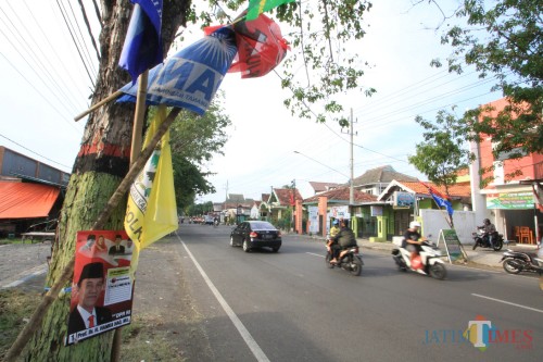 APK dan bendera parpol yang dipaku di pohon di Jalan Tjokroaminoto Kota Probolinggo. (Agus Salam/Jatim TIMES)