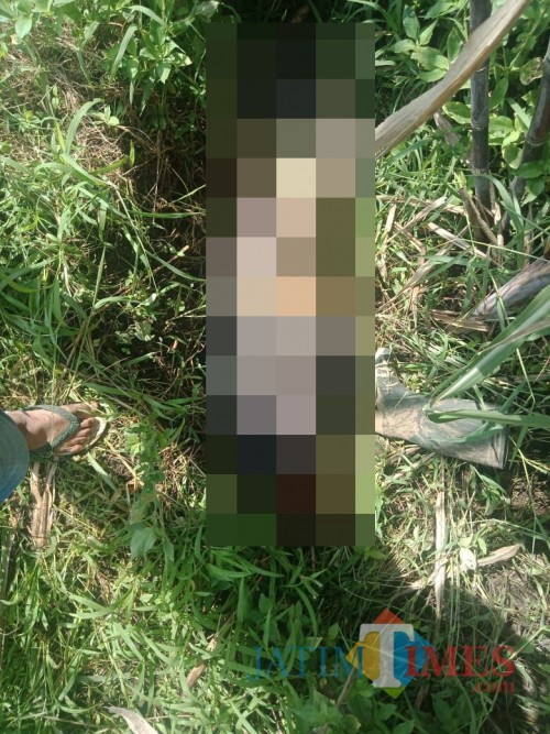 Kondisi mayat Supardi, sesaat sebelum dievakuasi ke kamar mayat, Kecamatan Pakis (Foto : Istimewa)