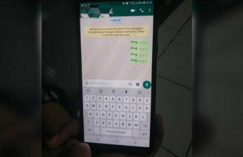 Bukti aplikasi chatting Whatsapp sedang mengalami gangguan (Hendra Saputra)
