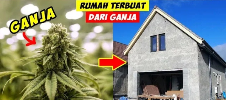 Ilustrasi rumah dengan bahan material aneh(Daftar5)