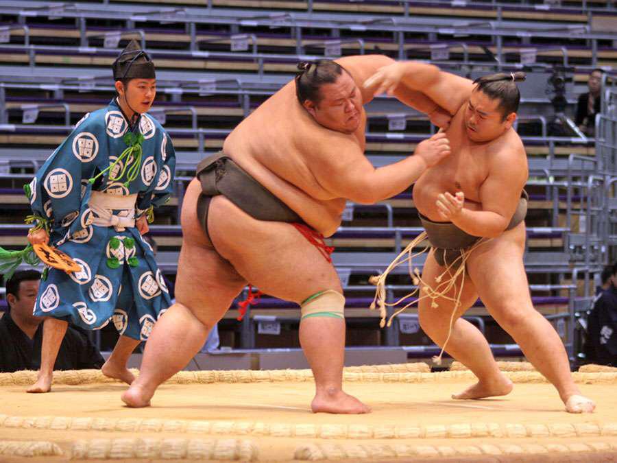 Sumo pekerjaan berbahaya dengan gaji mencapai Rp 12 miliar di Jepang. (Foto: istimewa)