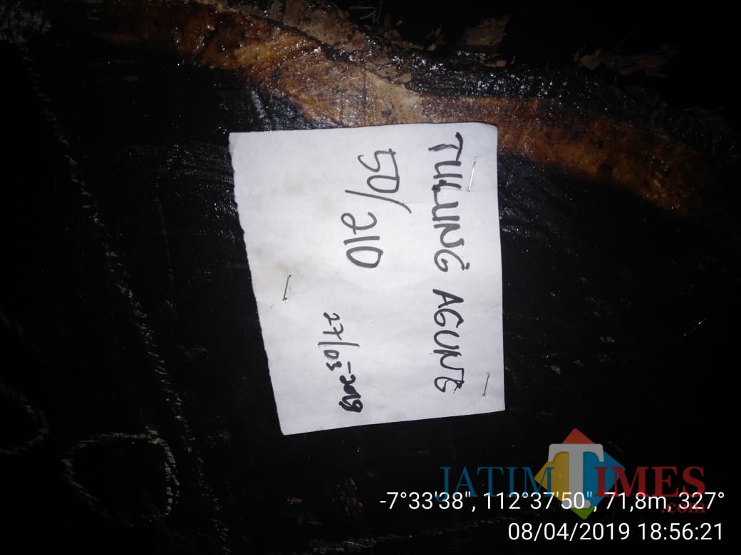 Kayu sonokeling yang dibalak di depan Mapolsek Sumbergempol tergeletak di gudang PT. K (istimewa)