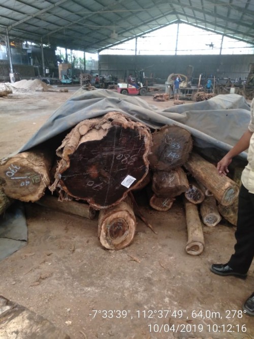 Kayu sonokeling yang dibalak di depan Mapolsek Sumbergempol tergeletak di gudang PT K. (istimewa)