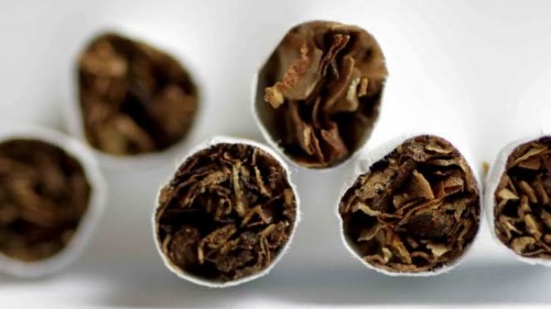 Ilustrasi rokok ilegal. Kabupaten Malang termasuk wilayah yang kerap menjadi sasaran petugas terkait rokok ilegal (Ist)
