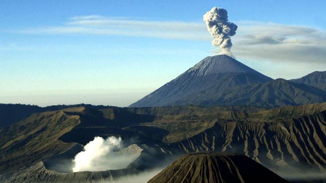Ilustrasi TNBTS, (Foto : Istimewa)