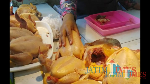 Harga daging ayam di pasar-pasar tradisional di Kota Malang mulai mengalami penurunan. (Foto: Nurlayla Ratri/MalangTIMES)