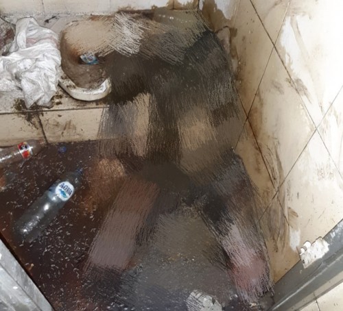 Kondisi korban mutilasi yang ditemukan (ist)