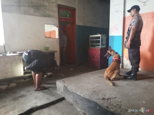 Anjing K9 yang sempat mengendus bau masuk ke toilet (Anggara Sudiongko/MalangTIMES)
