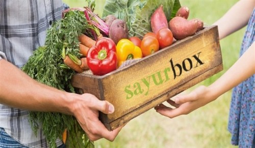 Ilustrasi penjualan online dalam sistem Sayurbox. (Ist)
