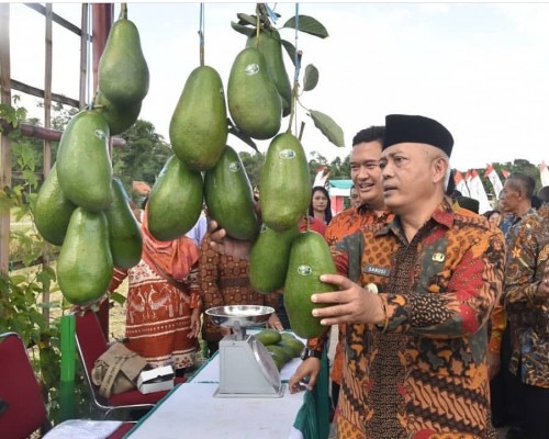Wabup Malang Sanusi saat melihat buah alpukat di acara Edi Wisata Padi, Singosari. (Humas)
