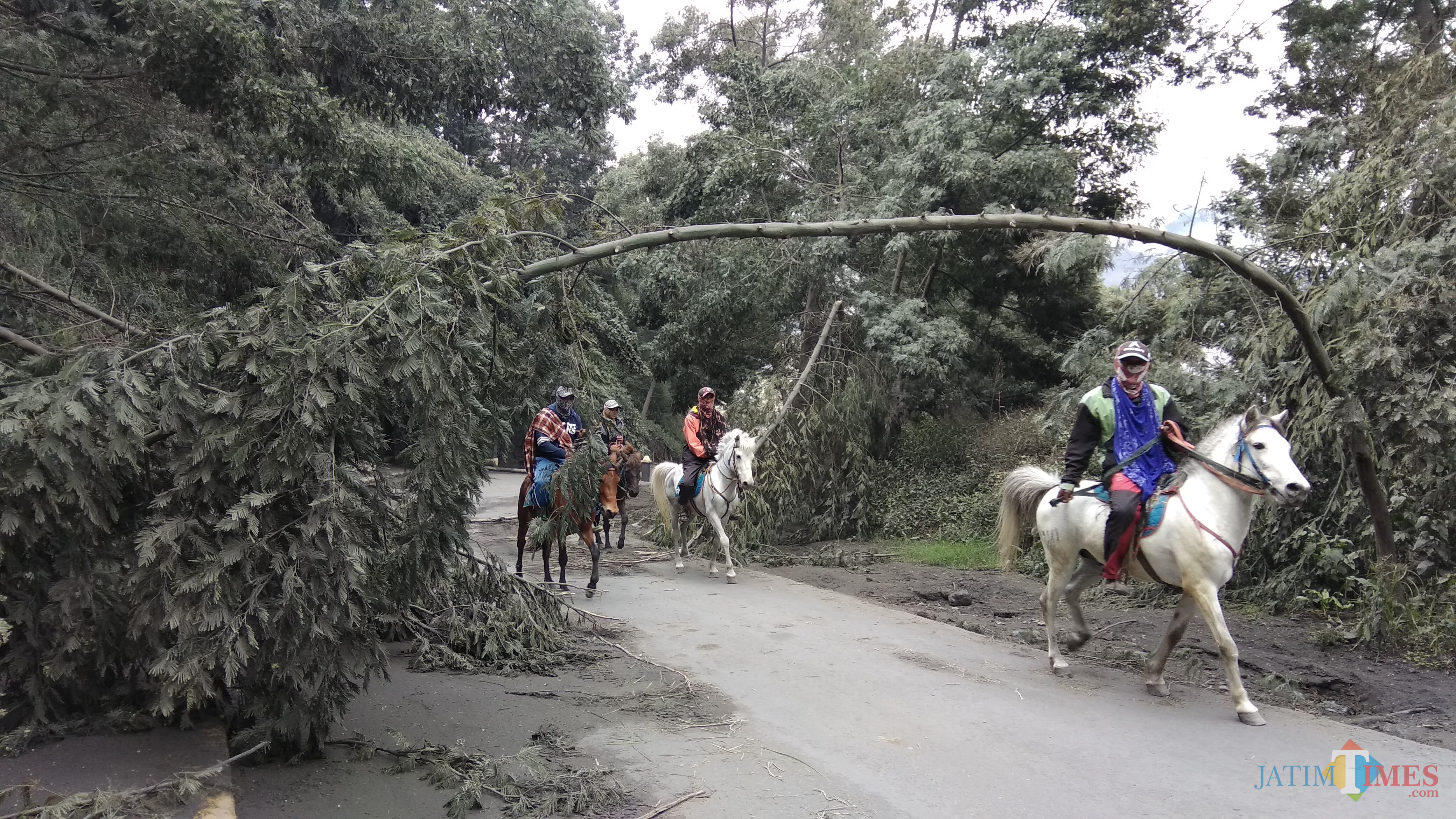Kondisi jalan di kawasan Taman Nasional Gunung Bromo saat terjadi erupsi pada Maret 2019 lalu. (Foto: Nurlayla Ratri/MalangTIMES)