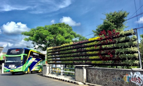 Vertical Garden di Jembatan Jalan Protokol Kota Batu. (Foto: Irsya Richa/MalangTIMES)