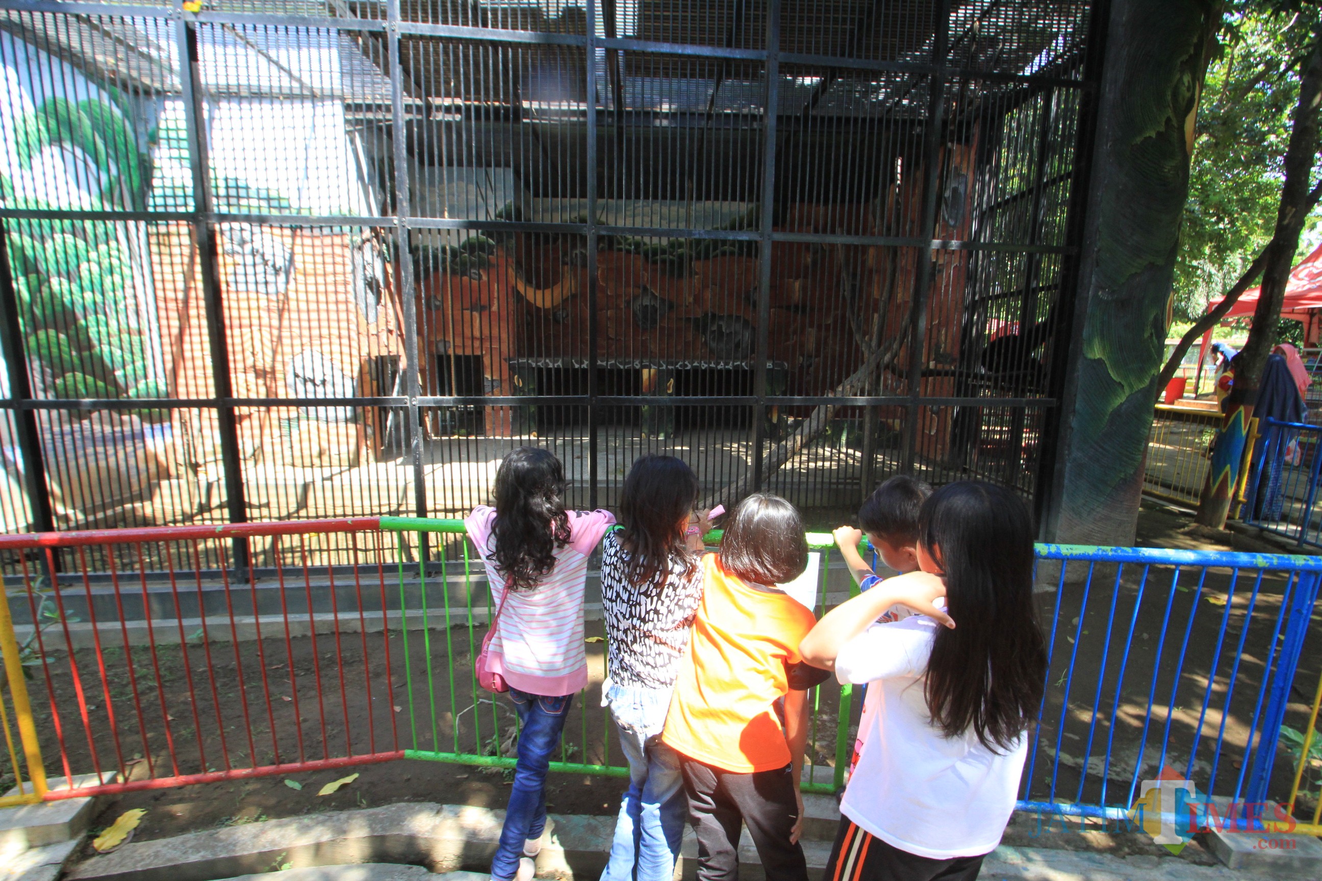 Pengunjung anak-anak sedang melihat binatang kandang macan di Kebun Binatang Mini (TWSL) Kota Probolinggo (Agus Salam/Jatim TIMES)