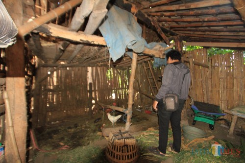 Di kandang inilah, dua sapi Nasuri dicuri. (Agus Salam/Jatim TIMES)